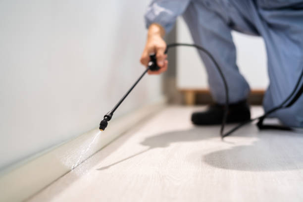 Licensed Termite Control service in Upper Pohatcong, NJ - Nex Pest Control