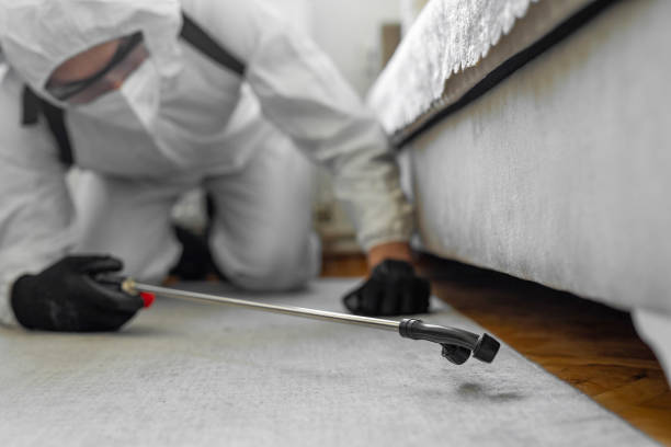 Professional Termite Control technician working in Upper Pohatcong, NJ