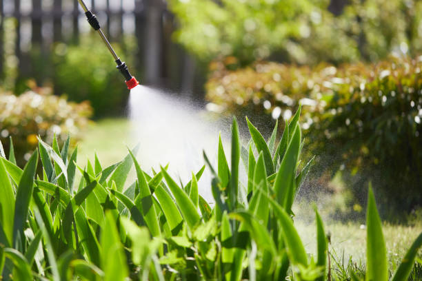 24/7 Emergency Termite Control experts in Upper Pohatcong, NJ