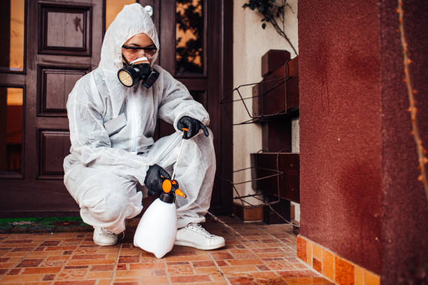 Reliable Termite Control contractor in Upper Pohatcong, NJ by Nex Pest Control