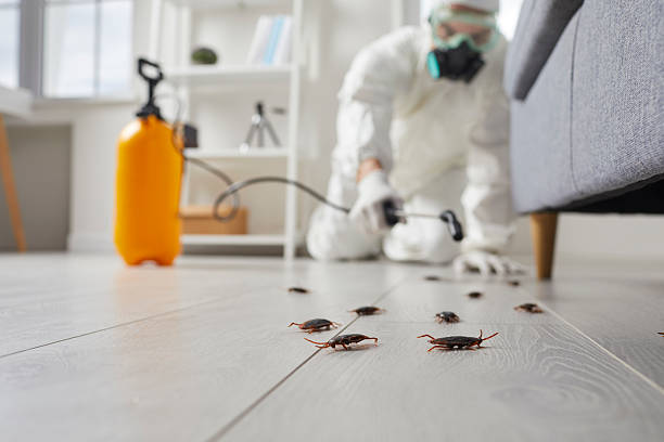 Trusted Termite Control service in Upper Pohatcong, NJ - Nex Pest Control