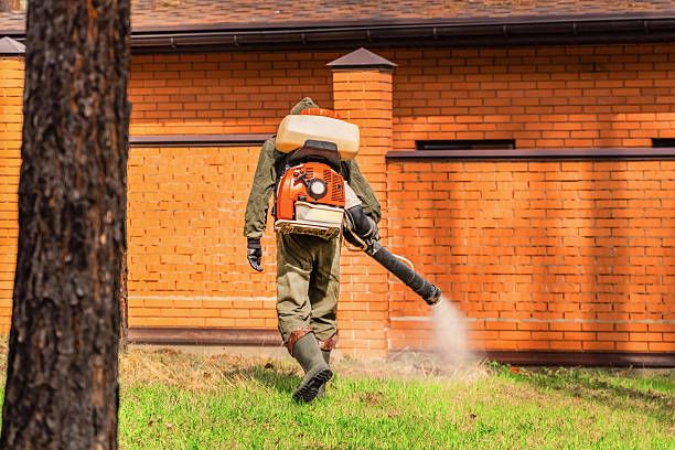 Trusted Rodent Control service in Upper Pohatcong, NJ - Nex Pest Control